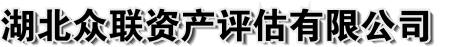 湖北众联资产评估有限公司官网